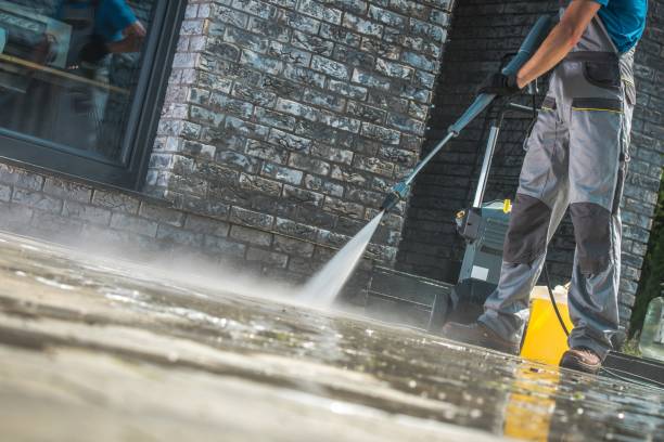 Best Paint Preparation  in Burney, CA